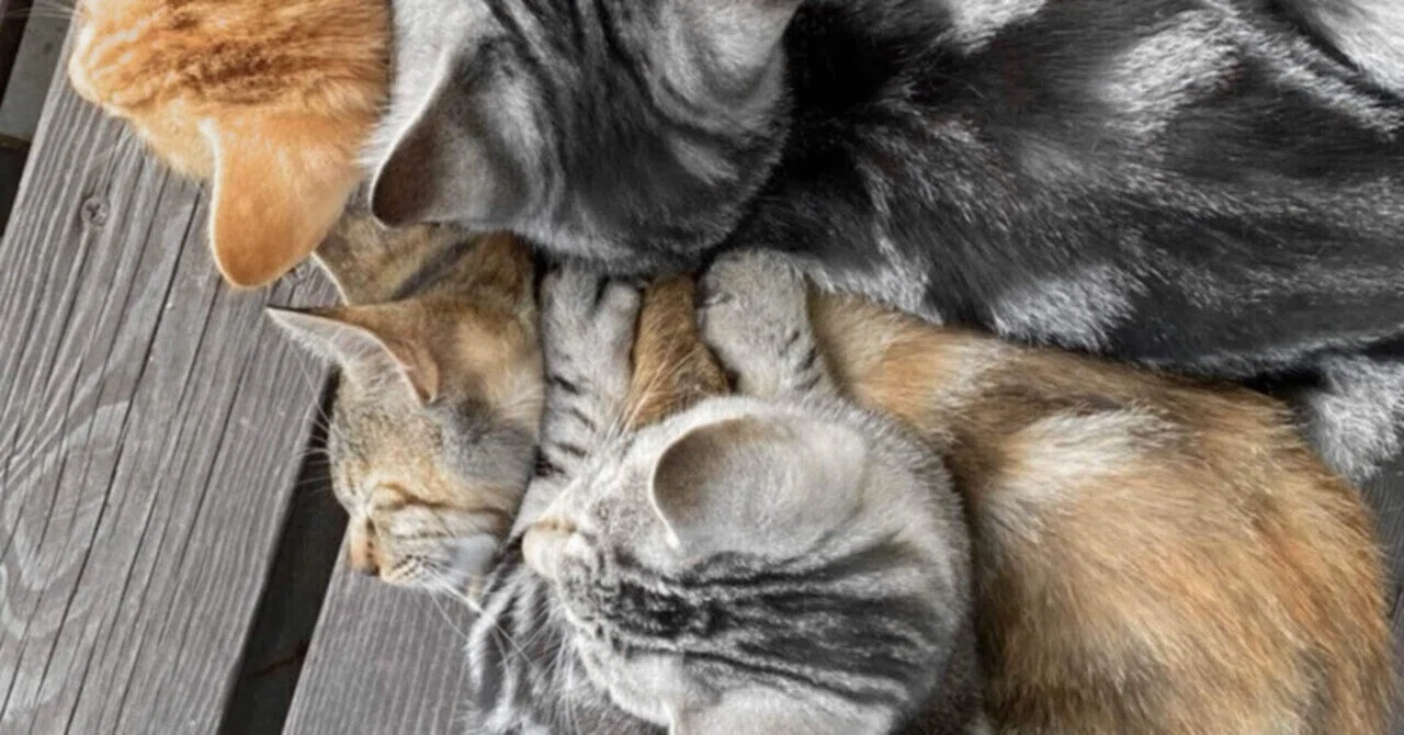 あたえられること